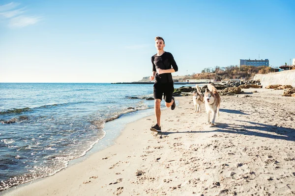 Kolejny człowiek. Mężczyzna runner jogging z psami husky syberyjski podczas słońca na plaży — Zdjęcie stockowe