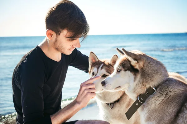 Mann spielt mit zwei Hunden — Stockfoto