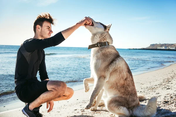 Sportowy mężczyzna gra z dwoma psami husky na plaży — Zdjęcie stockowe