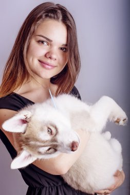 Genç Beyaz dişi bir köpek yavrusu, kız ve siberian dış yapraklar studio ile oynarken gri arka plan üzerinde ateş