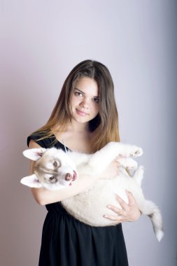 Genç Beyaz dişi bir köpek yavrusu, kız ve siberian dış yapraklar studio ile oynarken gri arka plan üzerinde ateş