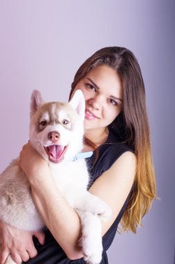 Genç Beyaz dişi bir köpek yavrusu, kız ve siberian dış yapraklar studio ile oynarken gri arka plan üzerinde ateş
