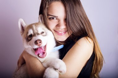 Genç Beyaz dişi bir köpek yavrusu, kız ve siberian dış yapraklar studio ile oynarken gri arka plan üzerinde ateş