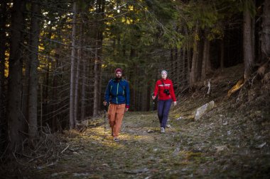 Genç çift ormanda hiking