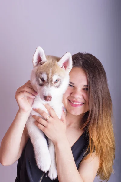 Νέοι καυκάσιος γυναίκα παίζει με ένα κουτάβι, κορίτσι και Σιβηρία σκύλος χάσκεϋ στούντιο γυρίστηκε σε γκρι φόντο — Φωτογραφία Αρχείου