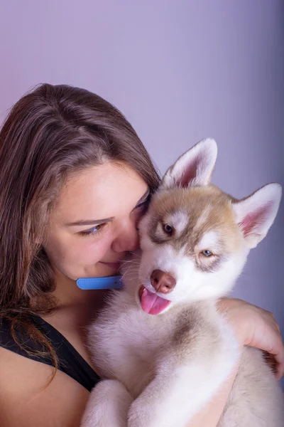 Junge kaukasische Hündin spielt mit einem Welpen, einem Mädchen und einem sibirischen Husky Studio auf grauem Hintergrund — Stockfoto