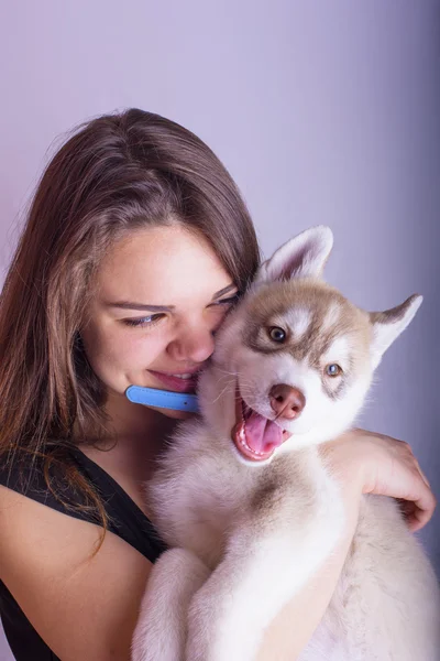 Jonge Kaukasische vrouwelijke spelen met een puppy, meisje en Siberische husky studio geschoten op grijze achtergrond — Stockfoto