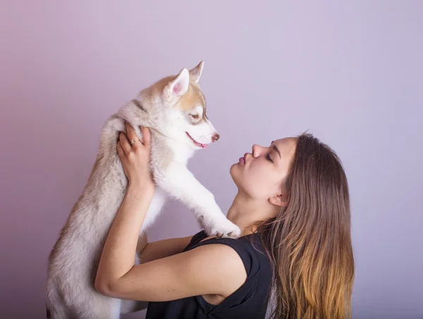 Joven caucásico hembra jugando con un cachorro, chica y siberiano husky estudio disparo en gris fondo —  Fotos de Stock