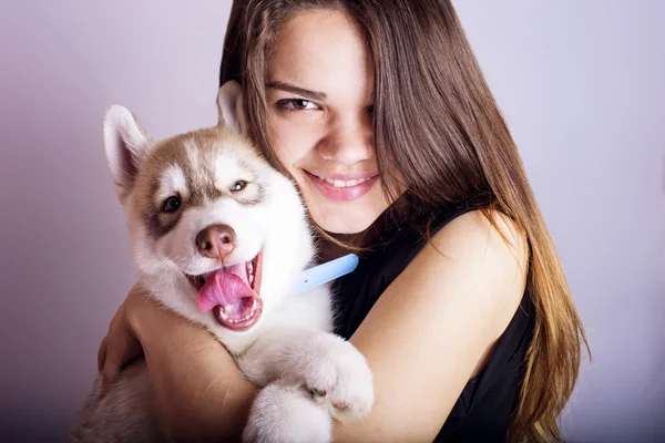 Joven caucásico hembra jugando con un cachorro, chica y siberiano husky estudio disparo en gris fondo —  Fotos de Stock