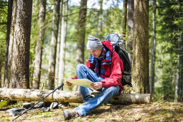 young caucasian male with a map in the forest, hiker looking at map outdoors