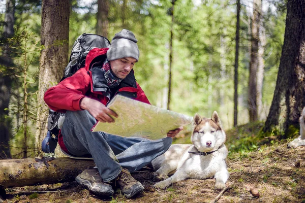 young caucasian male with a map and siberian husky dog in the forest, hiker looking at map outdoors