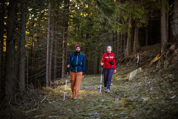 Молодая кавказская пара, прогуливающаяся по лесу — стоковое фото
