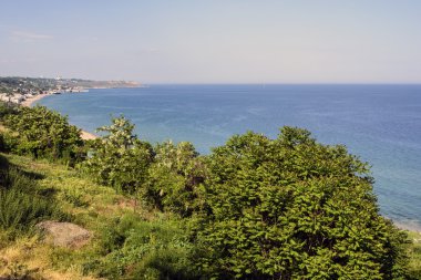 Yeşil otlar ve ağaçlar güzel bahar deniz manzarası
