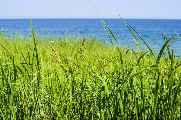 Seascape piękna wiosna — Zdjęcie stockowe