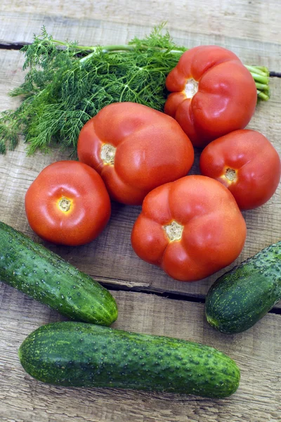 Fresh vegetables, cucumbers, tomatoes and fennel on wooden background — Stock Photo, Image