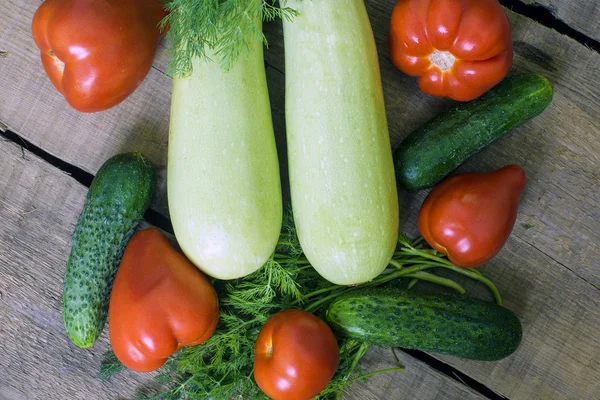 Frisches Gemüse, Kürbis, Gurken, Tomaten und Fenchel auf Holzgrund — Stockfoto