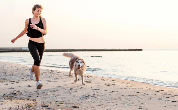 Young caucasian female playing with siberian husky dog on beach during sunrise — Stok fotoğraf