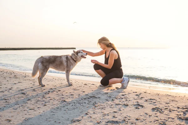 Jovem caucasiano fêmea brincando com siberiano husky cão na praia durante o nascer do sol — Fotografia de Stock