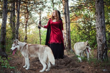 Ahşap cadı. Pratik büyü. Cadılar Bayramı kavramı