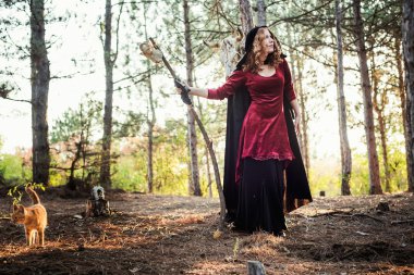 Ahşap cadı. Pratik büyü. Cadılar Bayramı kavramı