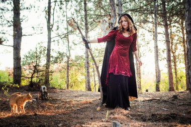 Ahşap cadı. Pratik büyü. Cadılar Bayramı kavramı