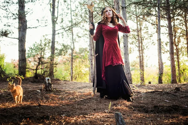 Bruja en el bosque. Practicando magia. Concepto Halloween — Foto de Stock