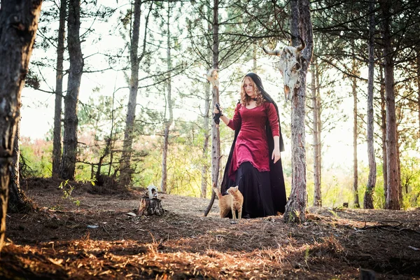 Strega nel bosco. Pratica la magia. Concetto Halloween — Foto Stock