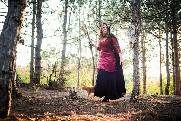 Bruja en el bosque. Practicando magia. Concepto Halloween — Foto de Stock