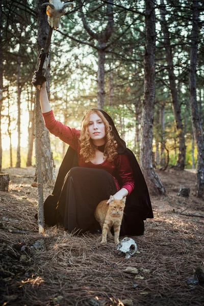 Bruja en el bosque. Practicando magia. Concepto Halloween — Foto de Stock