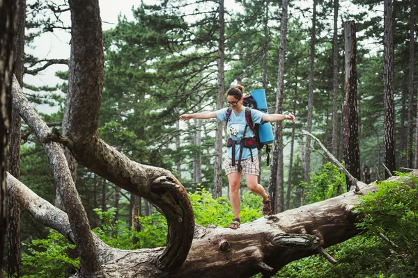 Kaukasische Wanderin auf Bergwanderung mit Rucksack, die einen gesunden aktiven Lebensstil führt. Wandermädchen auf Naturlandschaft — Stockfoto