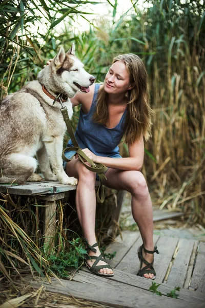 Perro husky hembra y siberiano jugando al aire libre —  Fotos de Stock