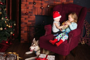 iki küçük kız ve hediye Hediyeler ve ağaç Noel süslemeleri ile oynayan Sibirya husky köpek