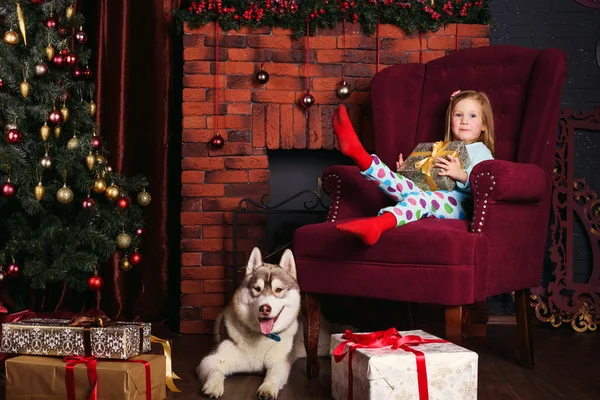 little girl and siberian husky dog playing with presents in christmas decorations