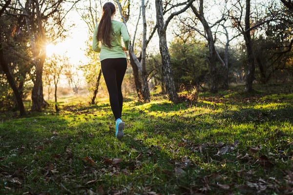 女性が公園で実行します。秋の森ジョギングする若い女性 — ストック写真