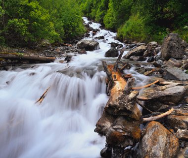 Bir giriş ile küçük şelale