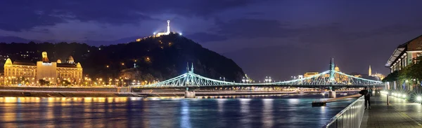 Budapeşte'de gece Özgürlük Köprüsü