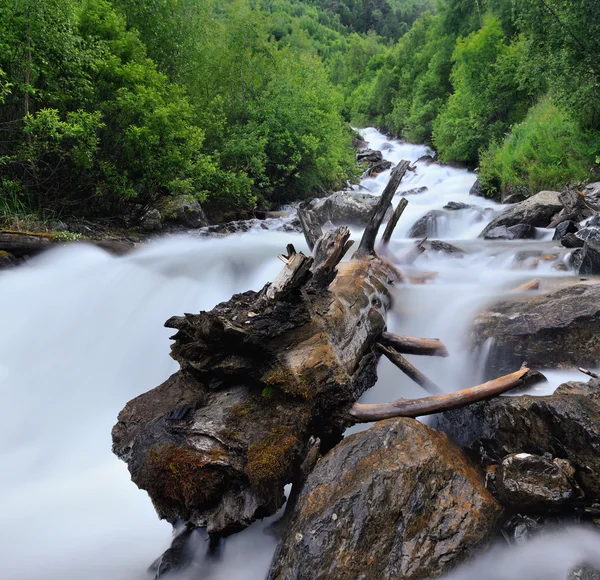 Bir giriş ile küçük şelale