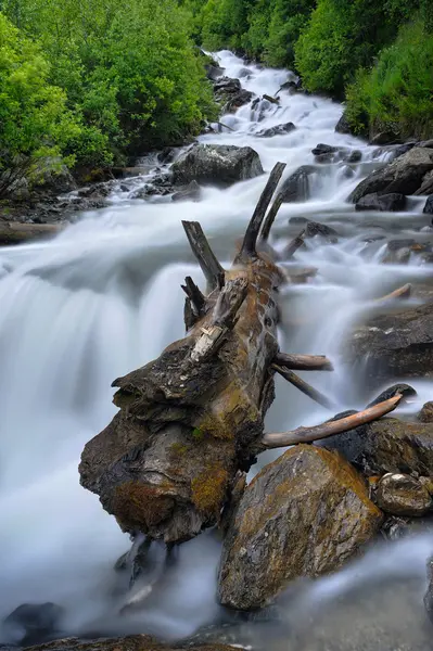 Bir giriş ile küçük şelale