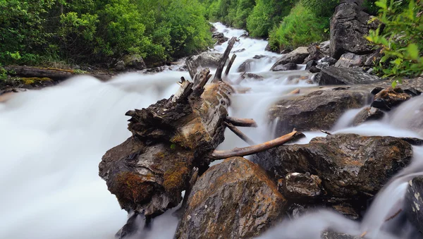 Bir giriş ile küçük şelale