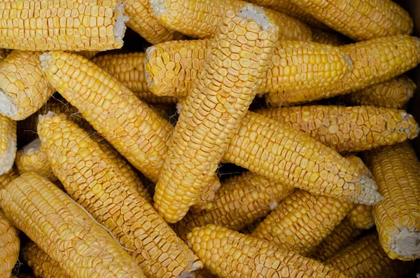 Ящик Кукурудзою Попкорн Кукурудзяні Зерна Сільське Господарство Зеа Милі — стокове фото