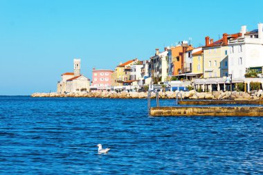 Piran sahil, Slovenya