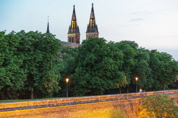 Cattedrale di San Pietro e Paolo, Praga, Repubblica Ceca — Foto Stock