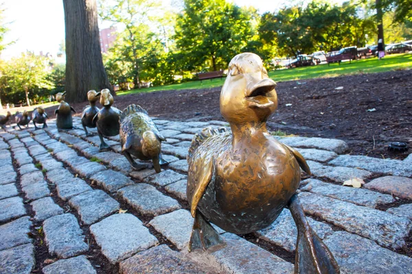 Yol için ördek yavrusu, Boston kamu bahçe yapmak