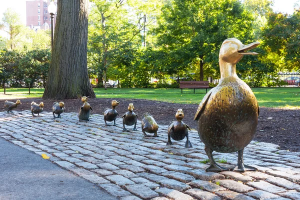 Fate largo agli anatroccoli, Boston Public Garden — Foto Stock