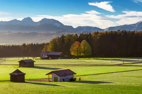 Alp gündoğumu, sabah gri, Avusturya