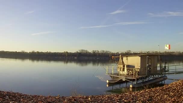 Ferrara Nın Nehri Nde Güzel Bir Günün Zamanı Tarih Hayvan — Stok video