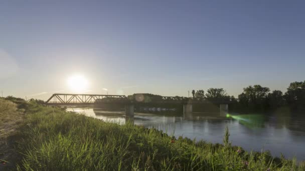 Ferrara Nın Nehri Nde Güzel Bir Günün Zamanı Tarih Hayvan — Stok video