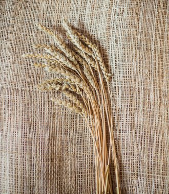 Buğday kulaklar. Antika arka plan