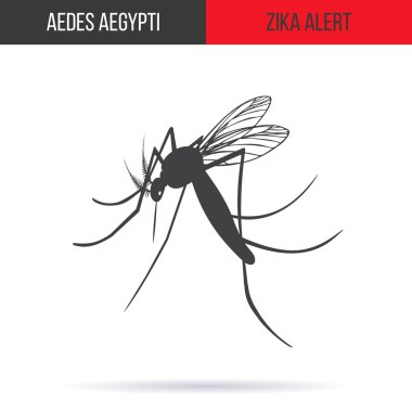 Zika virüs grafiksel tasarım elemanları.