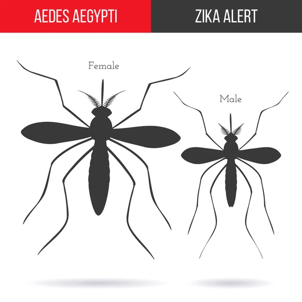 Zika virus graphic design elements. — Stock Vector